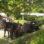 Erlachmühle Mondsee
