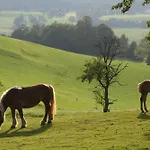 Erlachmühle Hotel 4*
