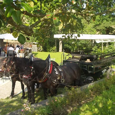 Erlachmuehle Mondsee