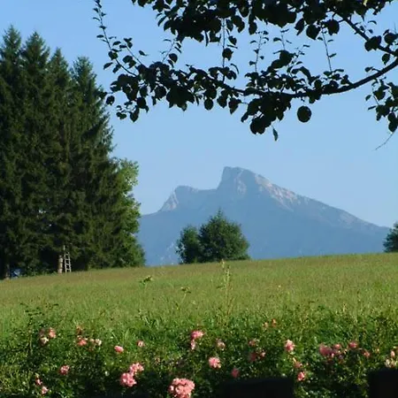 Erlachmuhle