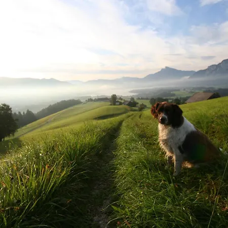 Erlachmuehle מונדסי