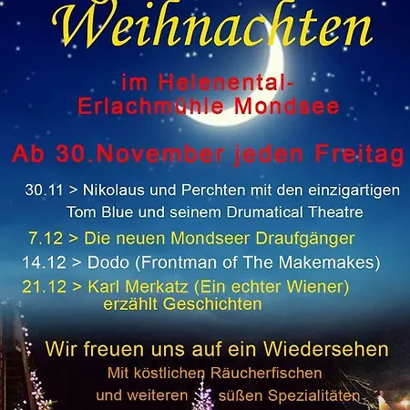 Erlachmühle Hotel *