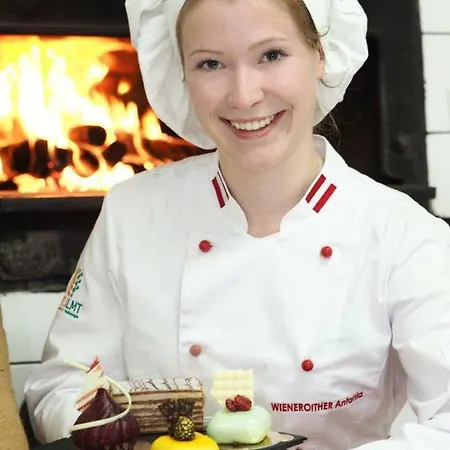 ضيافة إيرلاخميوهل 4* موندزي