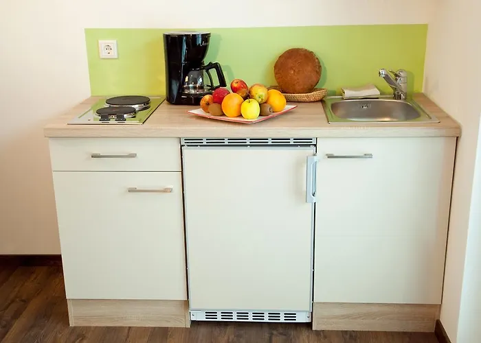 Erlachmuehle Ξενοδοχείο 4*