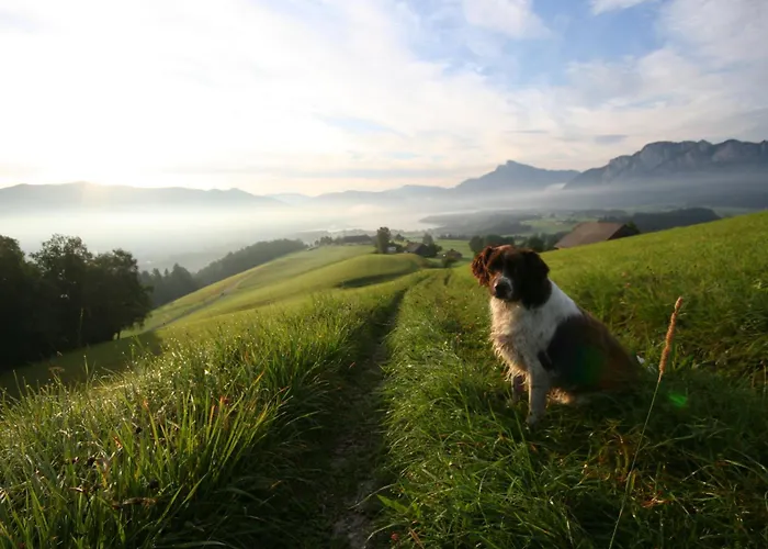 Erlachmuehle Mondsee