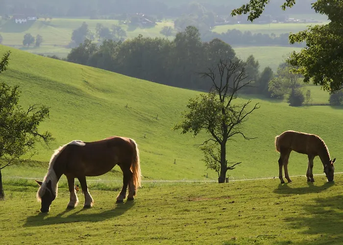 Erlachmühle Hotel 4*