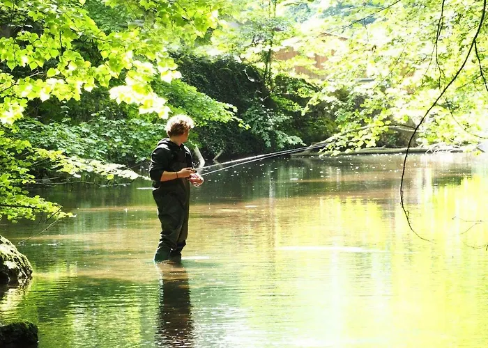 Erlachmuehle מונדסי