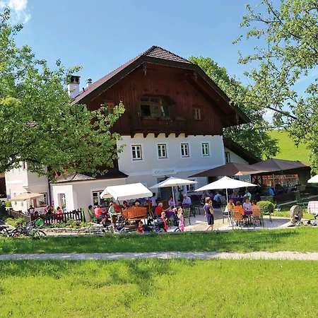 Hotel Erlachmuehle 4*