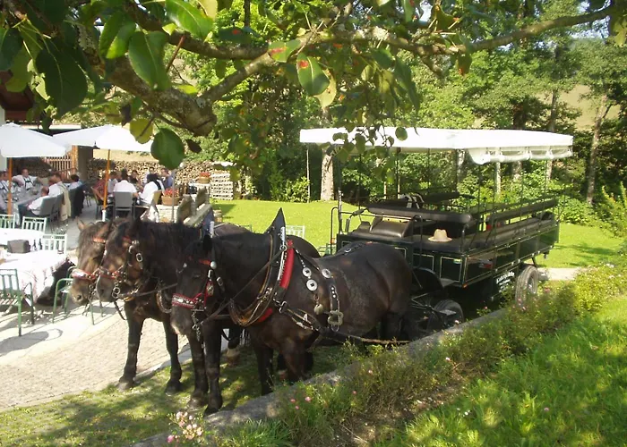 Erlachmuehle Mondsee