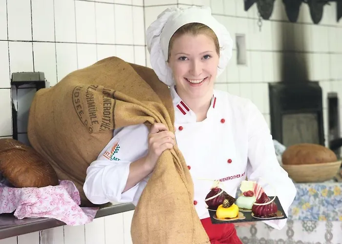 Erlachmuehle Hotel 4*